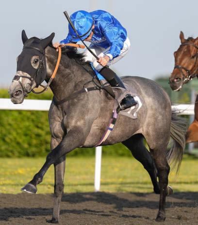 StarForm NUMBER ONE FOR RACING