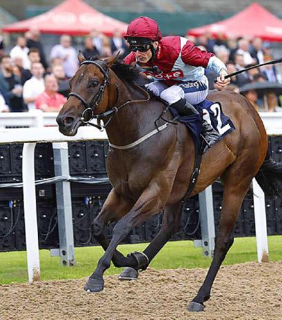 StarForm NUMBER ONE FOR RACING