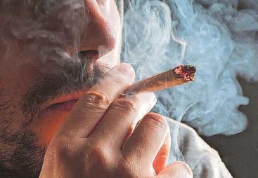 COPS: WEED AS BAD AS SMACK USE