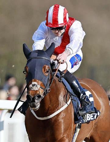 STARFORM NUMBER ONE FOR RACING