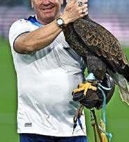 WILLY ROW FOOTIE BIRDMAN SENT OFF