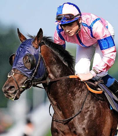 Best bets for today's racing from our Starform expert Peter Gomm