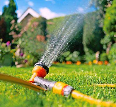 HOSEPIPE BAN FOR MILLIONS