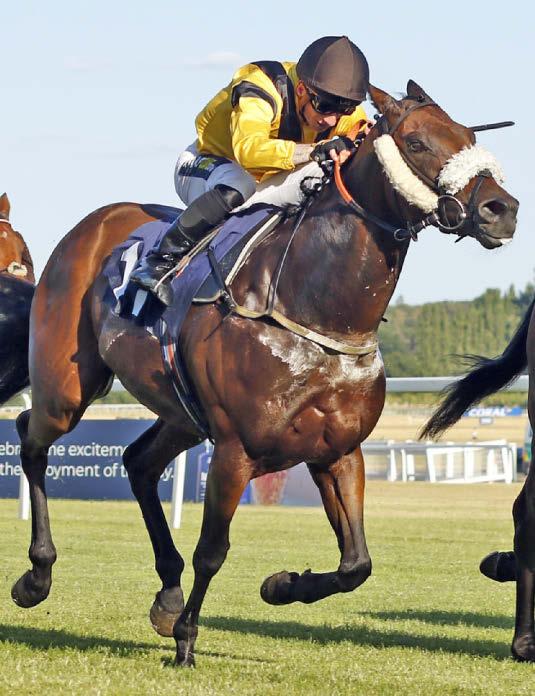 Best bets for today's racing from our Starform expert Steve Curry