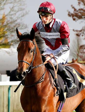 StarForm NUMBER ONE FOR RACING