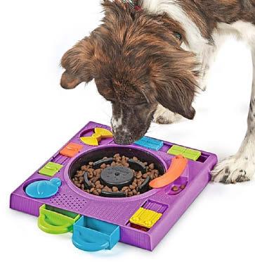 DOG LOVERS CAN PLAY IT SAFE IN HEAT