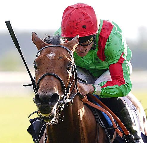 StarForm NUMBER ONE FOR RACING