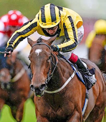 Best bets for today's racing from our Starform expert Steve Curry