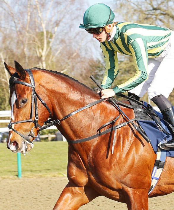 StarForm NUMBER ONE FOR RACING