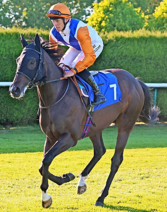 Best bets for today’s racing from our Starform expert Peter Gomm