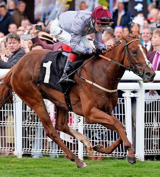 Best bets for today's racing from our Starform expert Jon Lees