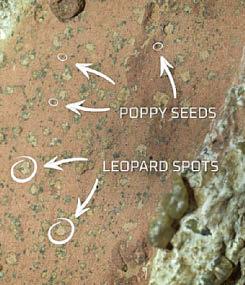 Space boffs believe Red Planet marks point to biology'