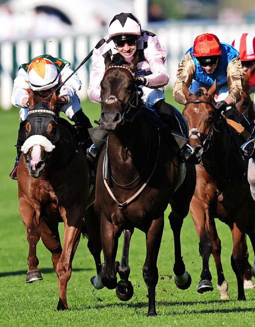 Best bets for today's racing from our Starform expert Peter Gomm