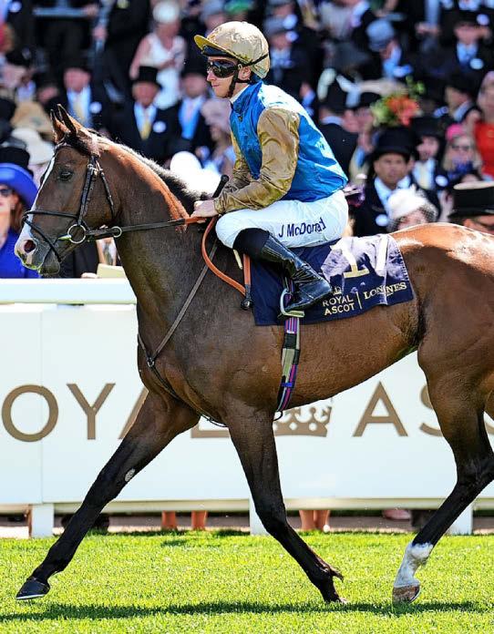 Best bets for today's racing from our Starform expert Peter Gomm