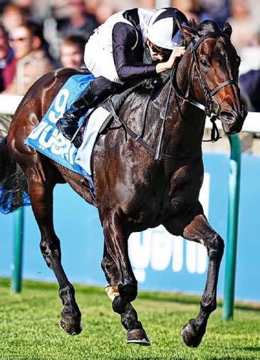 StarForm NUMBER ONE FOR RACING