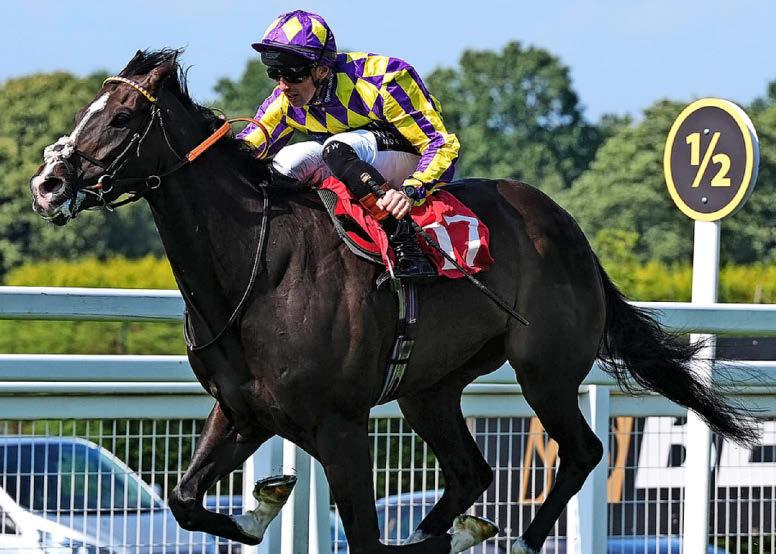 Best bets for today's racing from our Starform expert Jon Lees