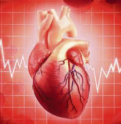 Boffins' state of the heart ticker checker