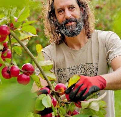 APPLES COR!