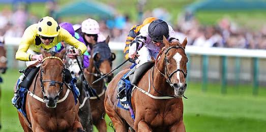 Dods' Ticker has the heart to succeed