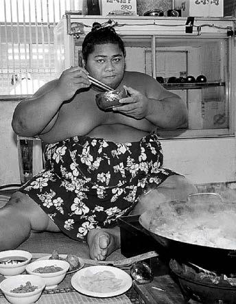 Sumo things you didn't Know...