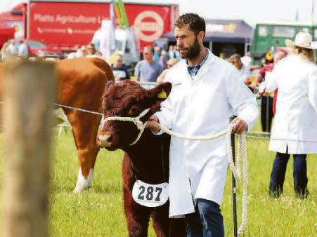 'WE'RE WELL AND TRULY IN OUR GROOVE'