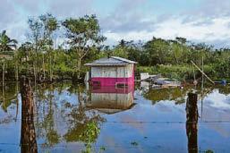 FLOODY MEL