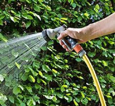 LET US SPRAY
