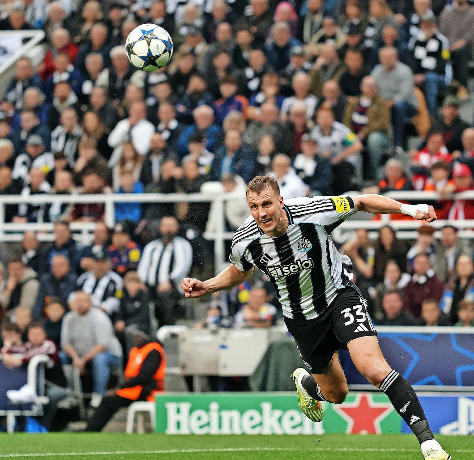 DAN HEADS IN WORLDIE