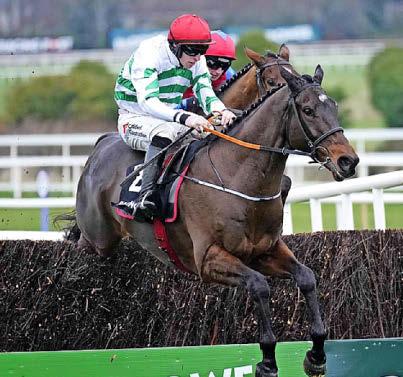 FIFTY REASONS TO HAVE FAITH