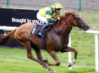 STATESIDE SOPHIE CALLS IT A DAY