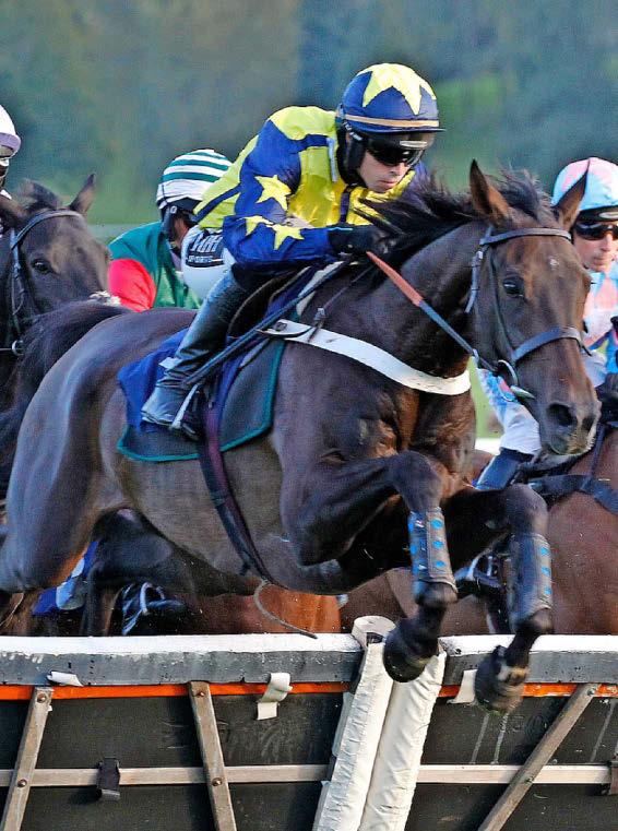 Best bets for today’s racing from our Starform expert Neil Randon