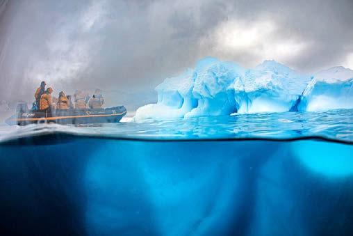 BERG'S ON FIN ICE..