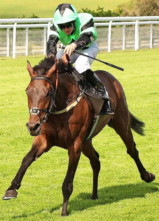 StarForm NUMBER ONE FOR RACING
