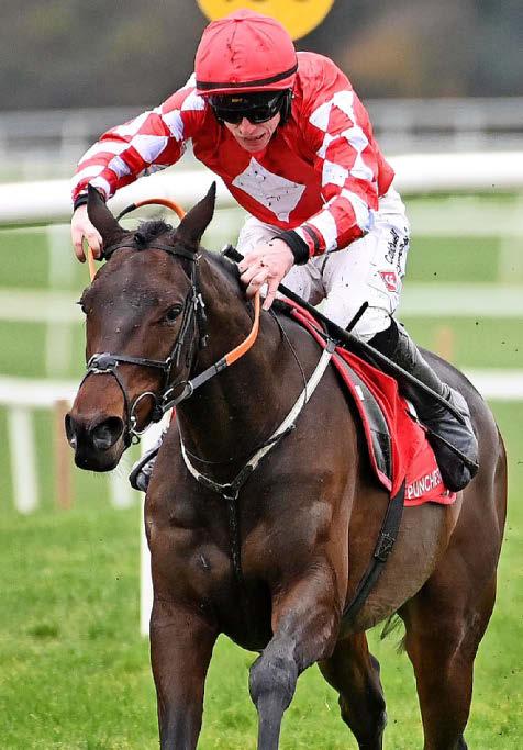 StarForm NUMBER ONE FOR RACING