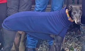 Loneliest dog gets new home