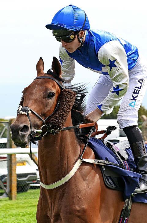 StarForm NUMBER ONE FOR RACING