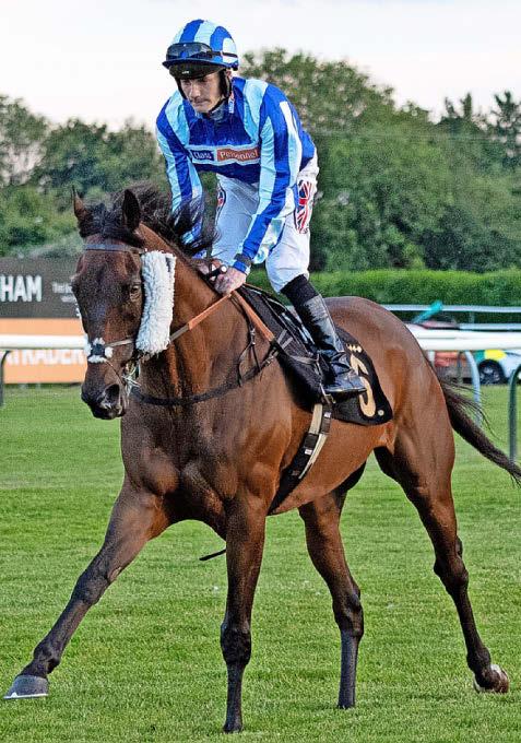 StarForm NUMBER ONE FOR RACING