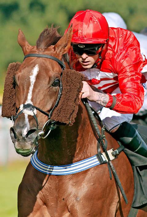 'We've got to be terribly happy'