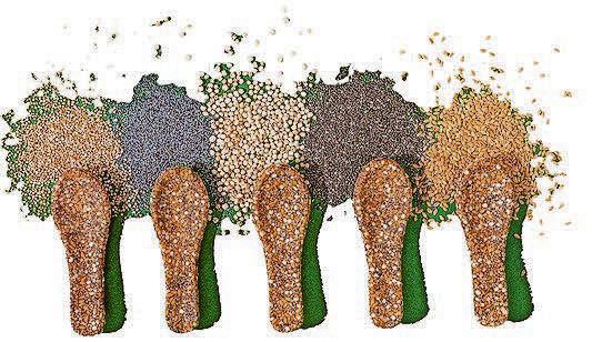 SPOON FEEDING TO SAVE PLANET!