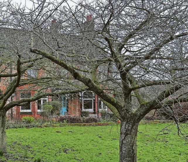 'Hippy crack' in Andy back yard