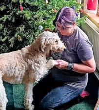Love at last for unlucky lurcher