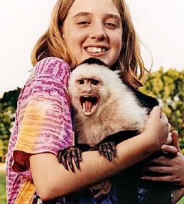 5,000 BRITS FACE PET MONKEY BAN