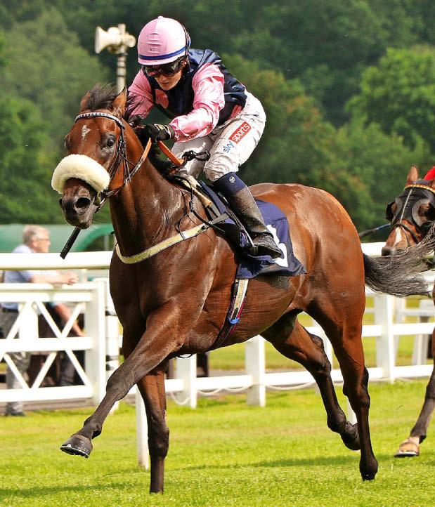 Best bets for today's racing from our Starform expert Steve Curry