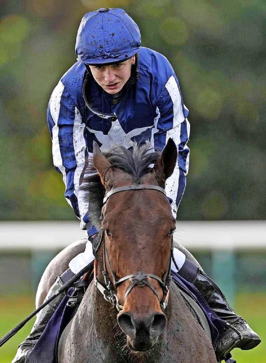Best bets for today's racing from our Starform expert Steve Curry