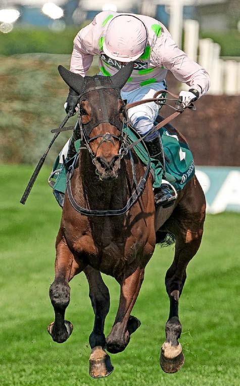 StarForm NUMBER ONE FOR RACING