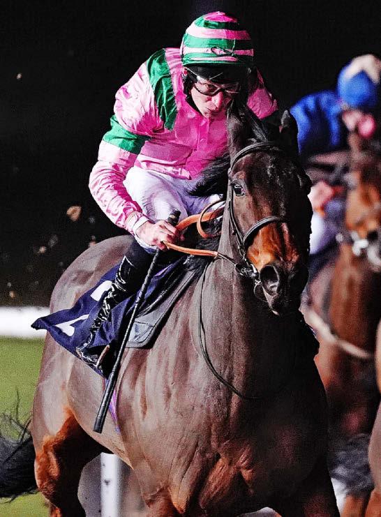 Best bets for today's racing from our Starform expert Jon Lees