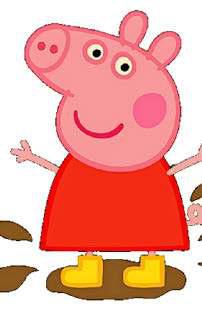 PULLED PORK