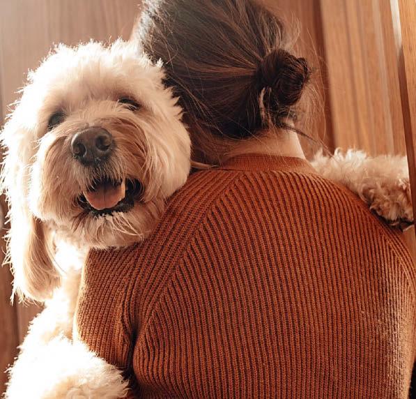 NATIONAL LOVE YOUR PET DAY