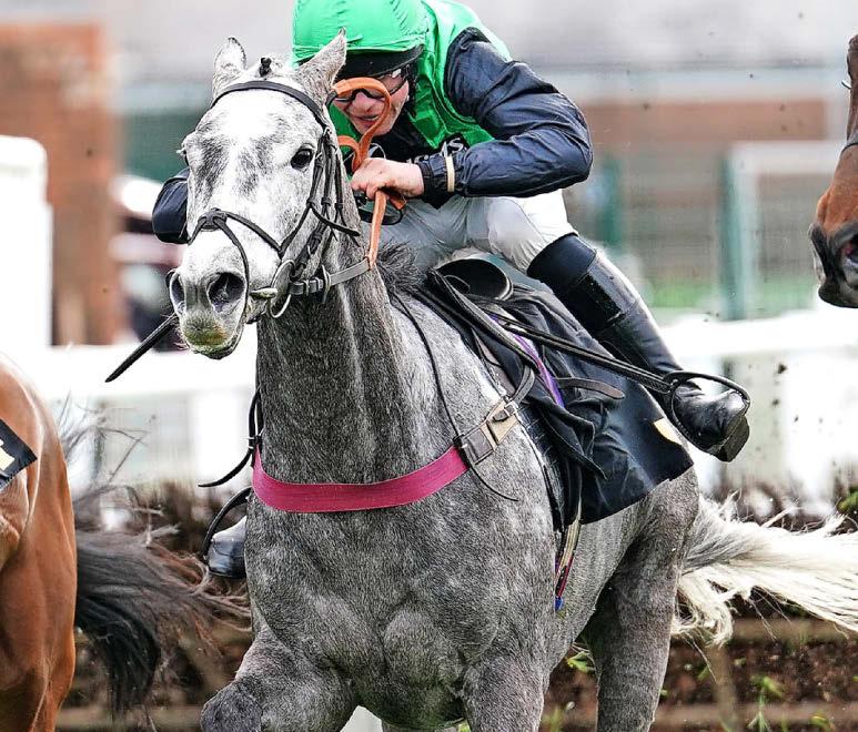 StarForm NUMBER ONE FOR RACING