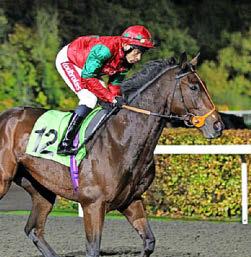 BUZZIN' FOR APIARIST